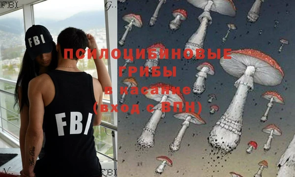 spice Зеленодольск