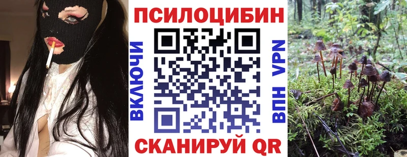 купить закладку  shop формула  Галлюциногенные грибы Psilocybine cubensis  Киреевск 